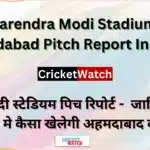 नरेंद्र मोदी स्टेडियम की पिच रिपोर्ट (Narendra Modi Stadium Ahmedabad Pitch Report In Hindi)