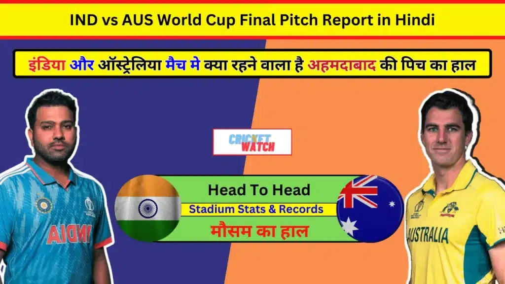 IND vs AUS World Cup Final Pitch Report in Hindi