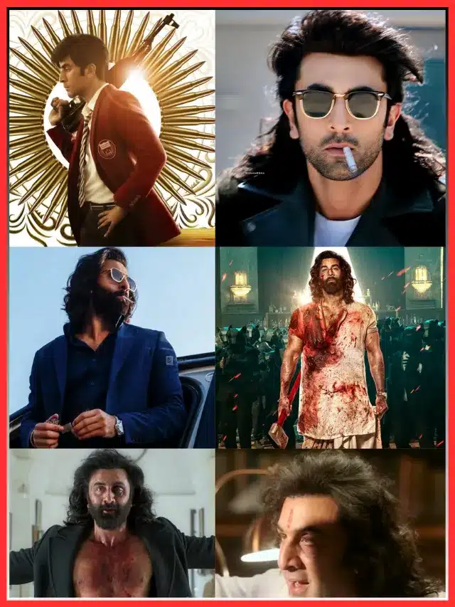 You will be able to watch Animal on OTT from this day - Animal OTT release