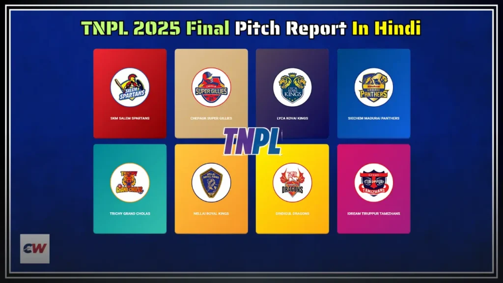 TNPL 2025 Final Pitch Report in Hindi